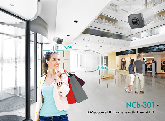 3 Megapixel IP Cameras Are Perfect for Retail and Building Surveillance