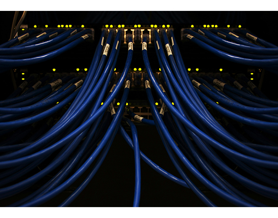 couple of blue wires connected to each other