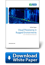 Visual Processing in Rugged Environments