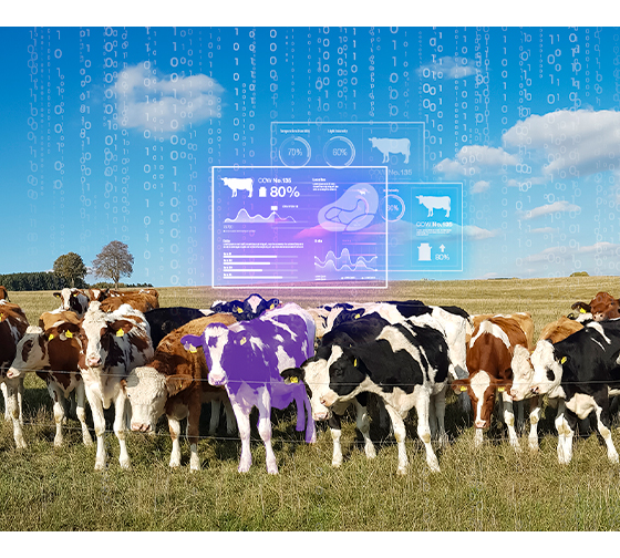 Innovative Embedded Fanless Computer Transforms Dairy Farming